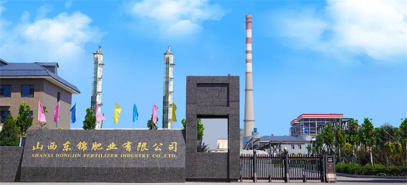 焦点新闻